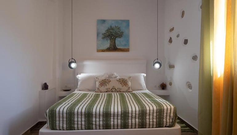 ELaiolithos Luxury Retreat - Νάξος