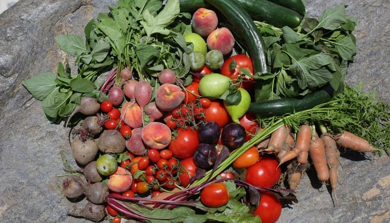 ELaiolithos Luxury Retreat - Νάξος