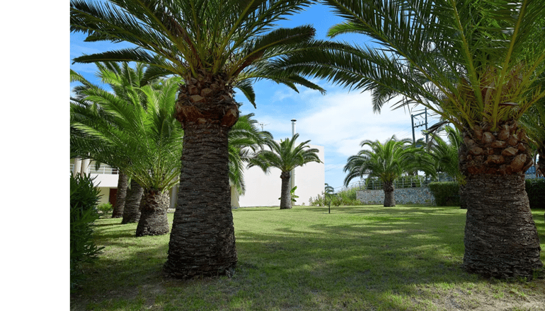 Eleftheria Hotel Chania