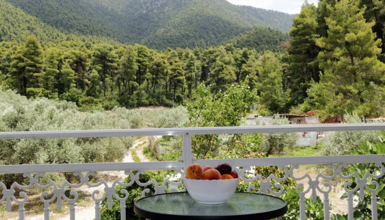 Elios Holiday Hotel