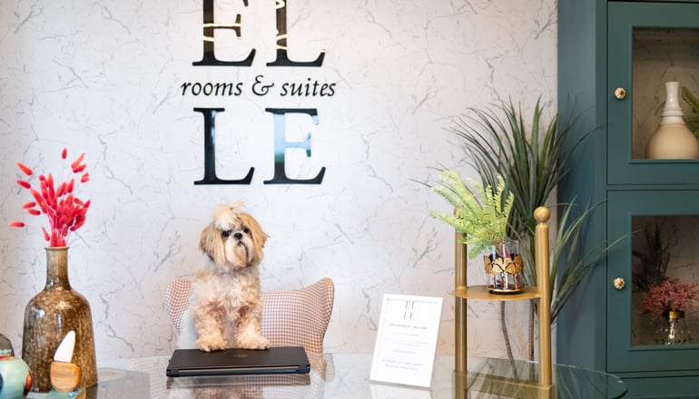ELLE Rooms and Suites  - Παραλία Κατερίνης