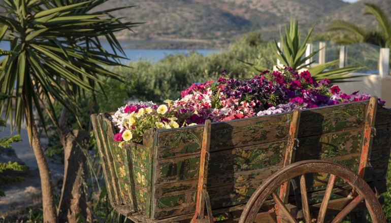 Elounda Heights - Ελούντα, Κρήτη