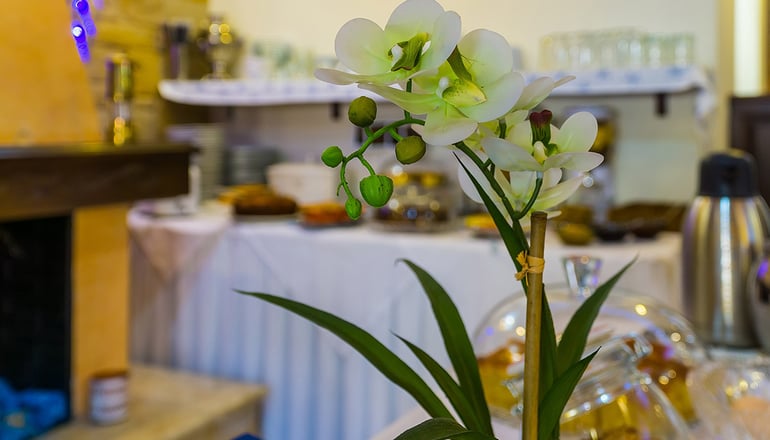 Epavlis Boutique Galaxidi