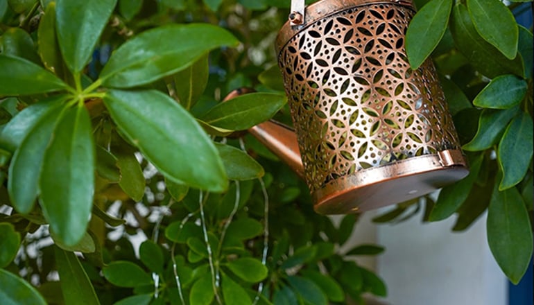 Epavlis Boutique Galaxidi