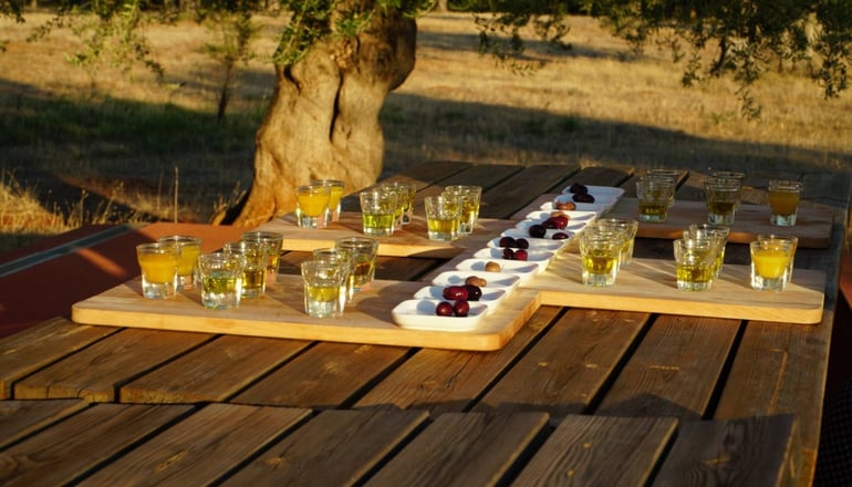 Eumelia Organic Agrotourism Farm - Γούβες, Λακωνία