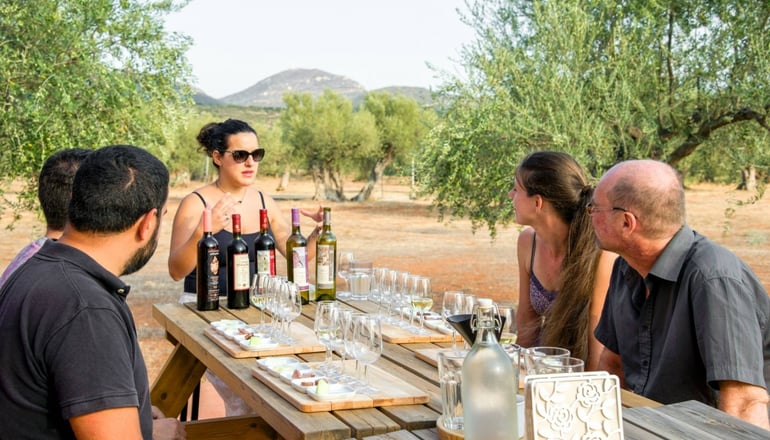 Eumelia Organic Agrotourism Farm - Γούβες, Λακωνία