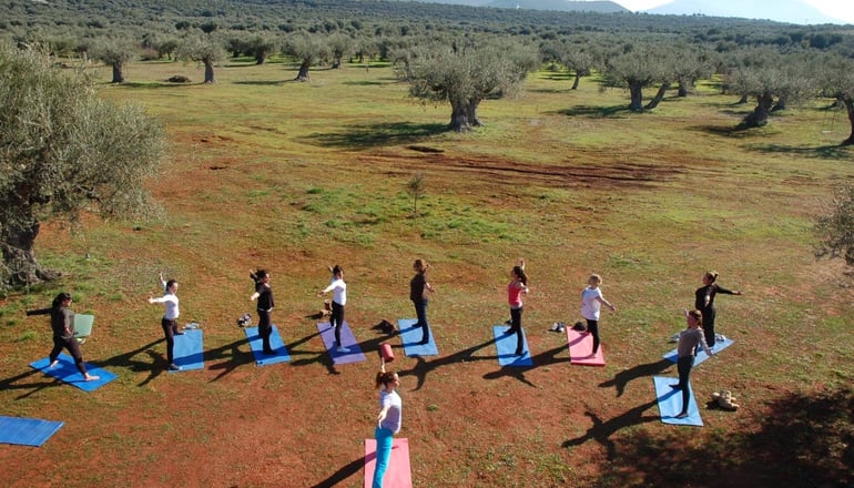 Eumelia Organic Agrotourism Farm - Γούβες, Λακωνία