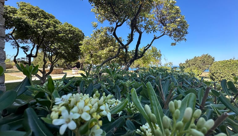 Genari Beach Apartments - Λεβεντοχώρι, Ηλεία