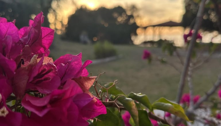 Genari Beach Apartments - Λεβεντοχώρι, Ηλεία