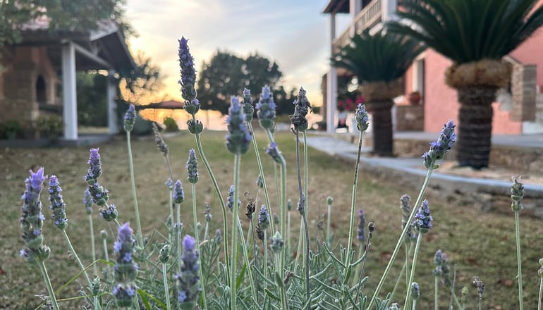 Genari Beach Apartments - Λεβεντοχώρι, Ηλεία