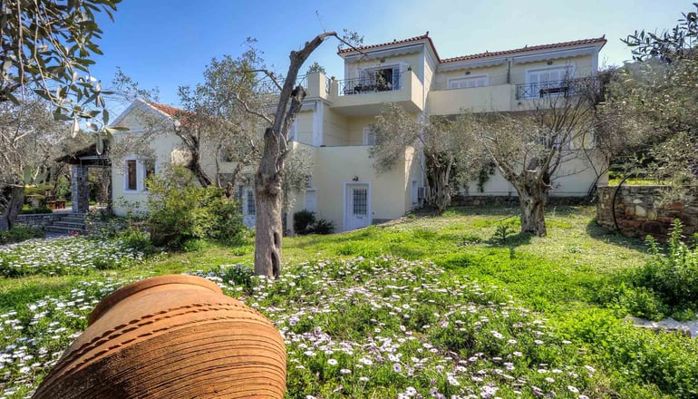 Gera's Olive Grove (Elaionas Tis Geras)