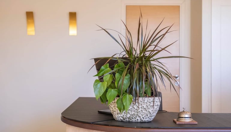 Harmony Luxury Rooms - Ναύπλιο