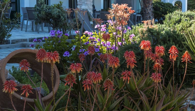 Kalypso Hotel & Villas - Νάουσα, Πάρος