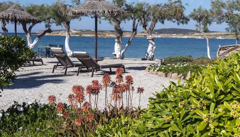 Kalypso Hotel & Villas - Νάουσα, Πάρος