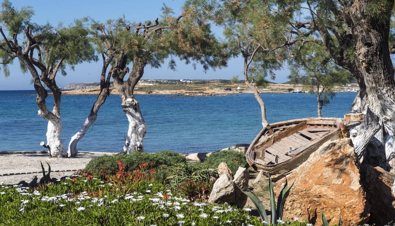 Kalypso Hotel & Villas - Νάουσα, Πάρος