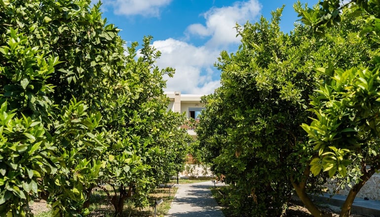 Ilyssion Holidays Hotel - Ιαλυσός, Ρόδος