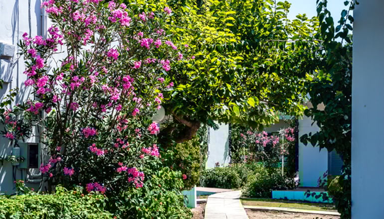 Ionian Beach Hotel