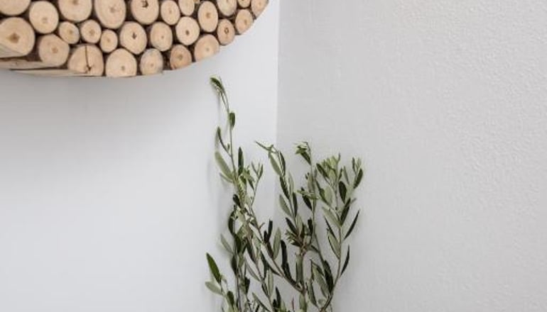 Ippokampos Apartments - Άγιος Γεώργιος, Νάξος