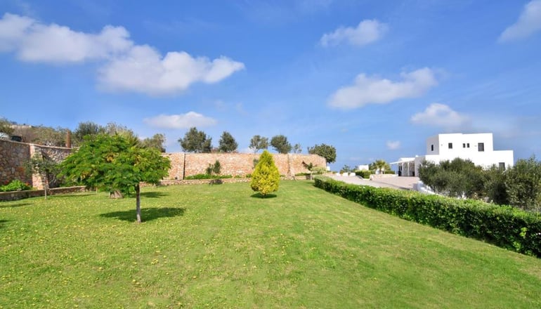 Irene Villa Santorini