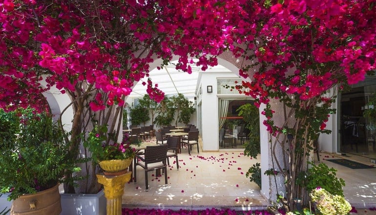 Kyparissia Beach Hotel - Λιμάνι Κυπαρισσίας, Κυπαρισσία