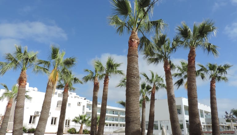 La Casa Di Napa Apartments - Αγία Νάπα, Κύπρος