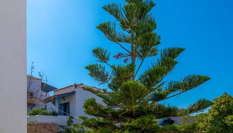 Laza Beach Inn - Σκάλα, Αγκίστρι