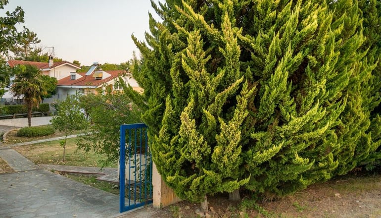 Leisure Moments Maisonette