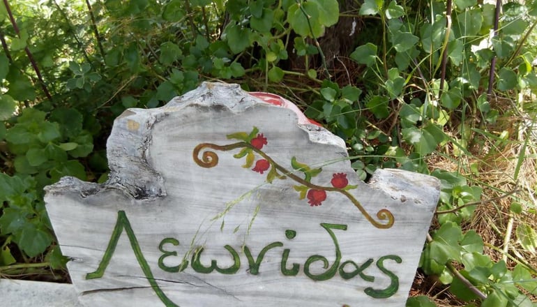 Leonidas Resort - Ερμιόνη, Αργολίδα