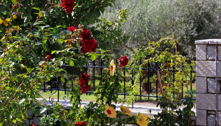 Lithos by the Sea - Νέο Οίτυλο, Μάνη