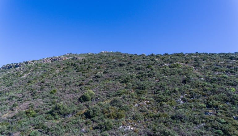 Lithos by the Sea - Νέο Οίτυλο, Μάνη