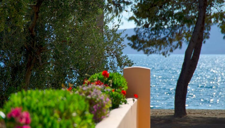 Makis Inn Resort - Ερμιόνη, Αργολίδα