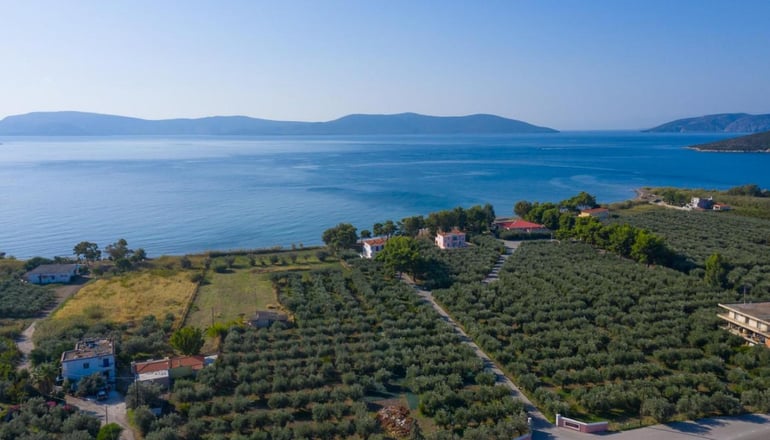 Makis Inn Resort - Ερμιόνη, Αργολίδα