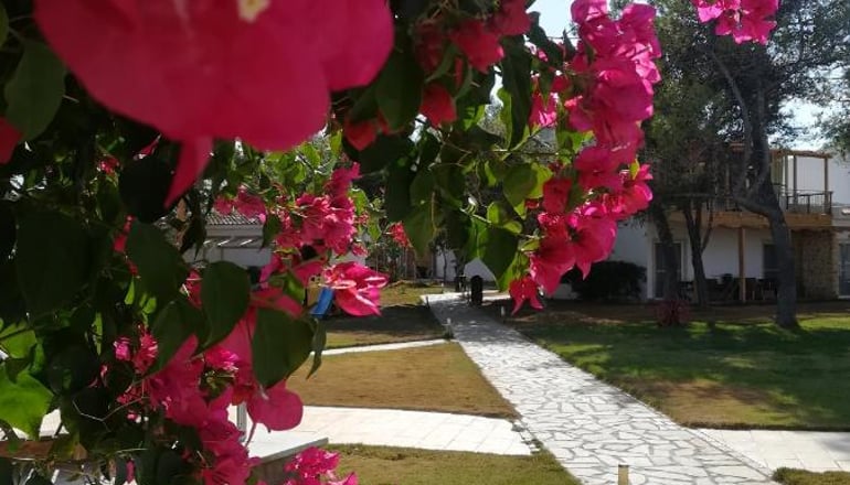 Marzi beach and Bungalows