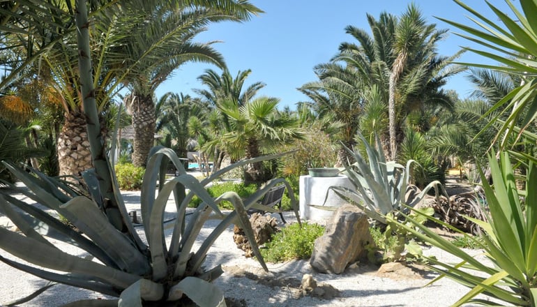 Medusa Beach Resort & Suites - Πλάκα, Νάξος