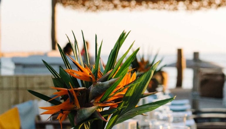 Medusa Beach Resort & Suites - Πλάκα, Νάξος