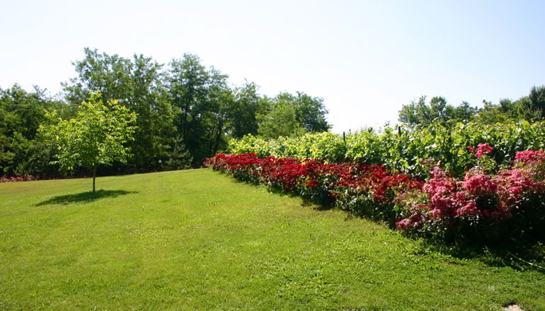 Milionis Hotel