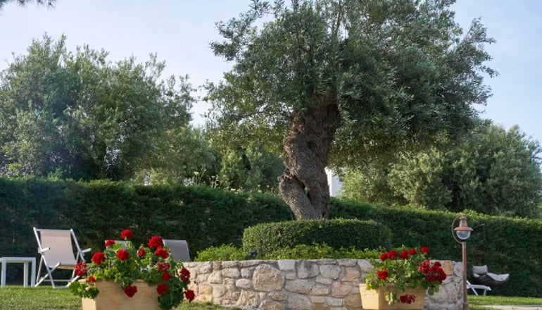 Mirabilia Boutique Hotel - Κρυοπηγή, Χαλκιδική