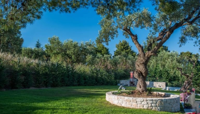 Mirabilia Boutique Hotel - Κρυοπηγή, Χαλκιδική