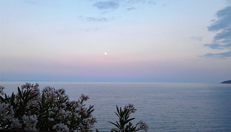 Muses SeaSide Villas