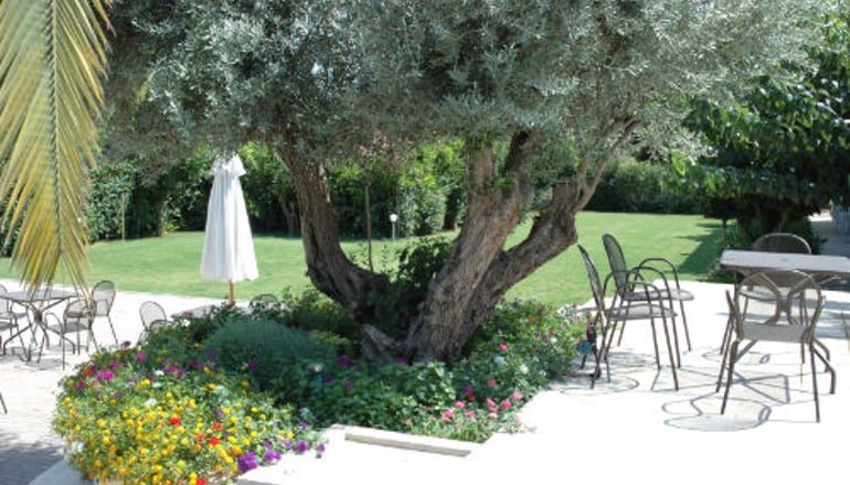 Myrto Hotel - Νέα Μάκρη