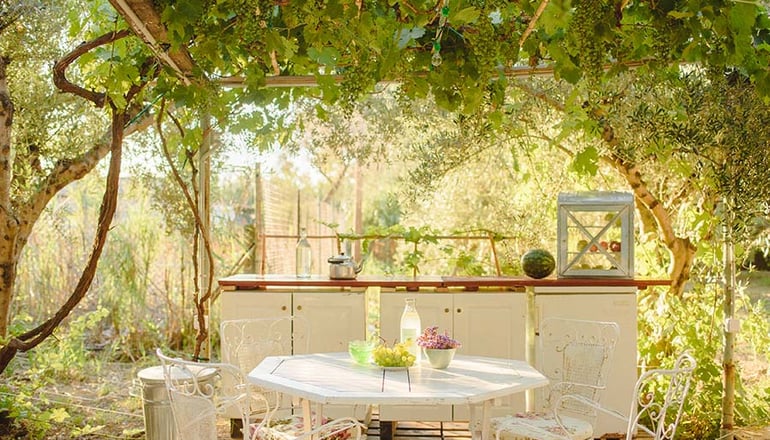 Odyssey Eco Farm Glamping