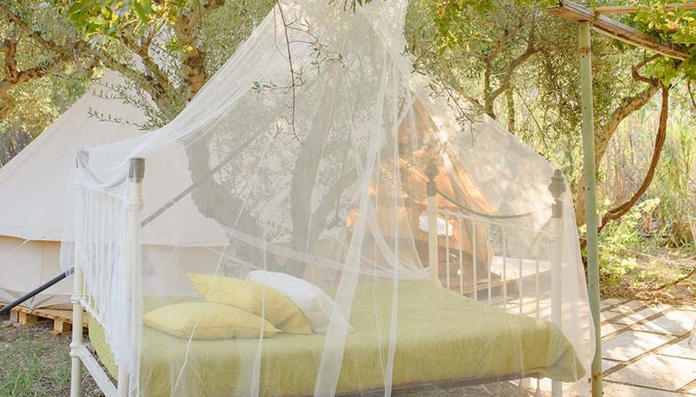 Odyssey Eco Farm Glamping