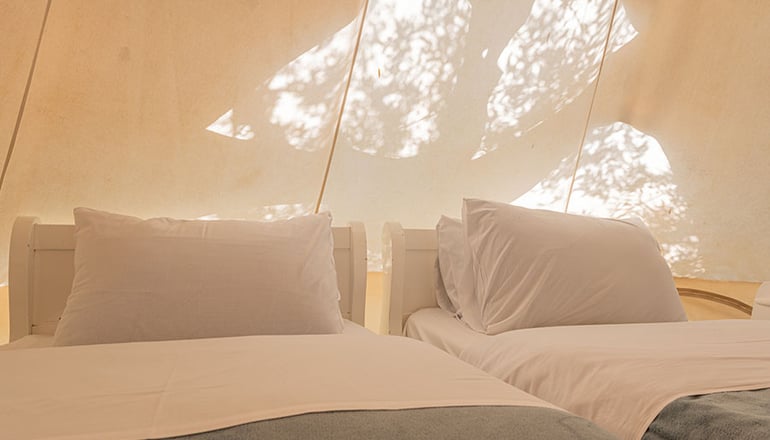 Odyssey Eco Farm Glamping