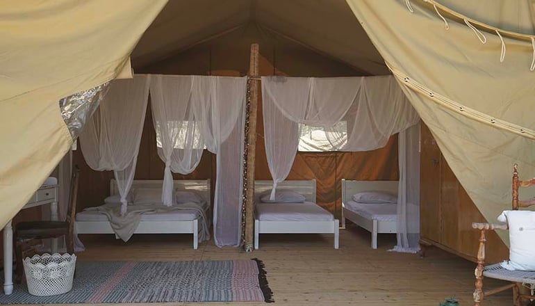 Odyssey Eco Farm Glamping
