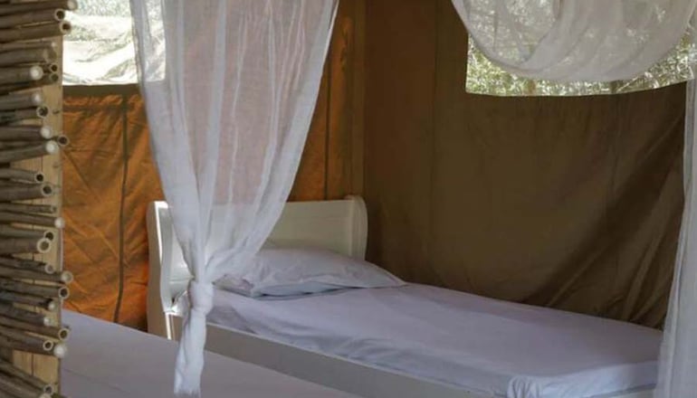 Odyssey Eco Farm Glamping