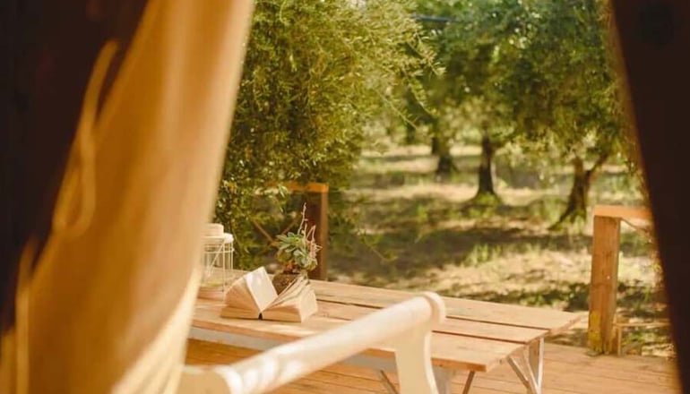 Odyssey Eco Farm Glamping