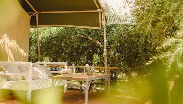 Odyssey Eco Farm Glamping