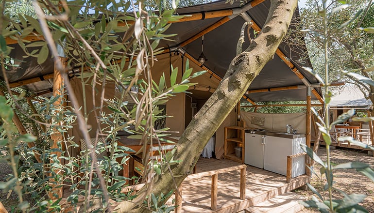 Odyssey Eco Farm Glamping