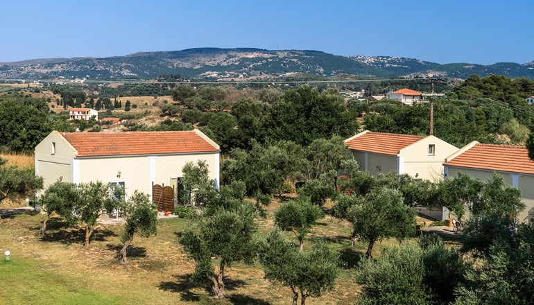 Olive Trees Garden - Ληξούρι, Κεφαλονιά