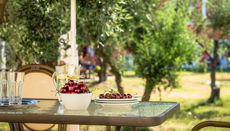 Olive Trees Garden - Ληξούρι, Κεφαλονιά